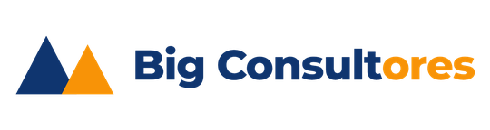 Big Consultores SpA — prevención de riesgos y contabilidad